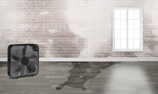 Carpet water damage restoration in Wynantskill, NY