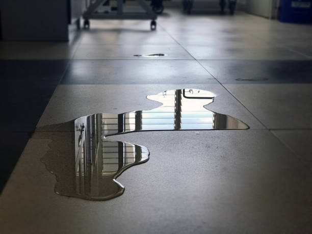 Best Water damage restoration near me  in Wynantskill, NY
