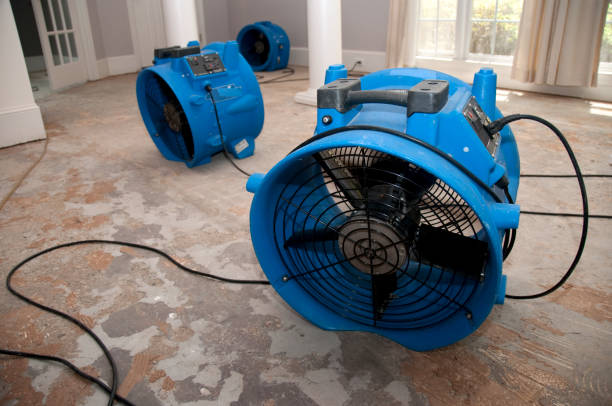 Best 24/7 water damage repair  in Wynantskill, NY