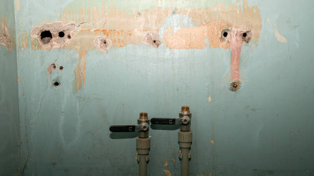 Trusted Wynantskill, NY Water damage restoration Experts