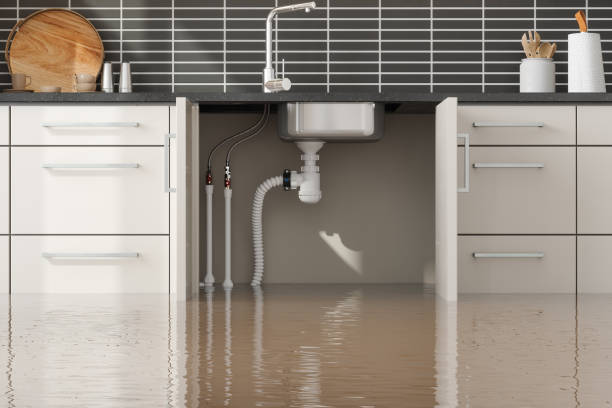 Best Water damage restoration specialists  in Wynantskill, NY